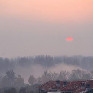 三级片国产在线观看
